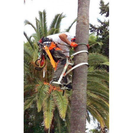 Bicicleta de poda palmeras con flejes aluminio