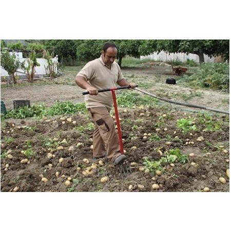 HORCA Y PALOTE CAVADOR EDT TOOLS